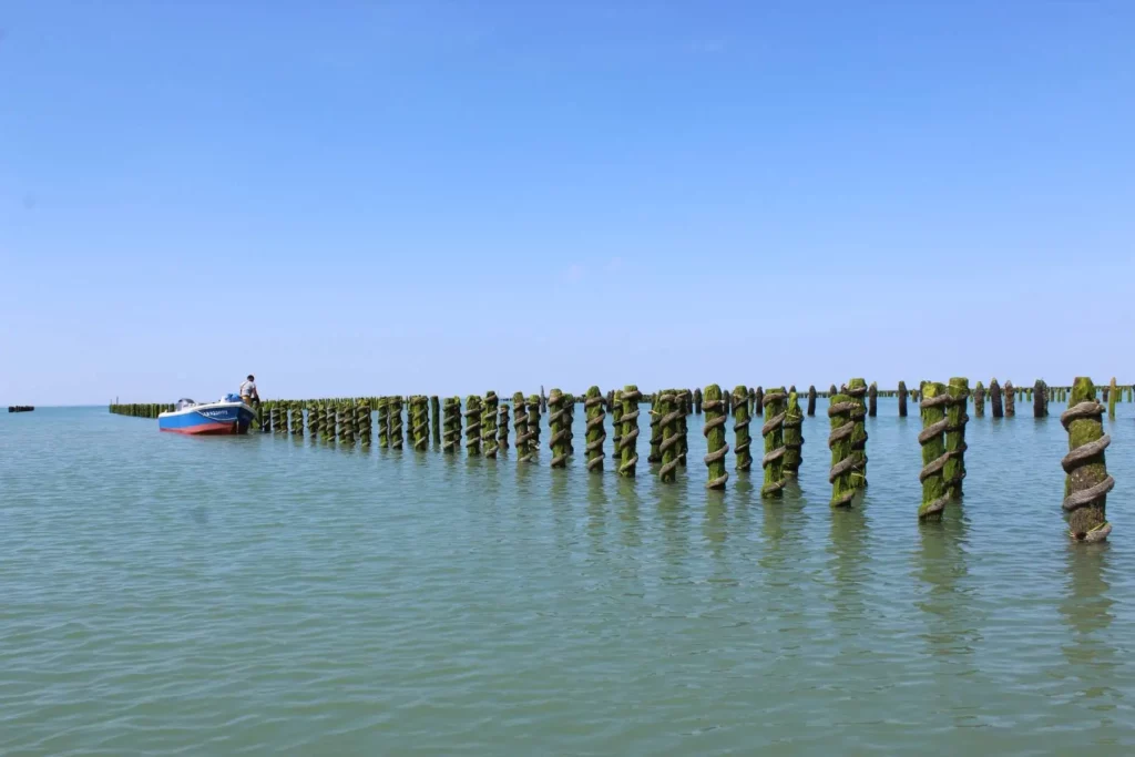ELEVEUR DE MOULES Charente-maritime